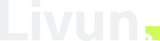 Livun Group
